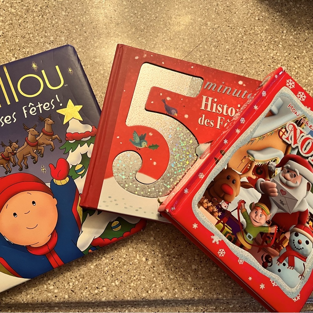 Bundle of 5 FRENCH Christmas Books